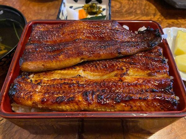 越谷　鰻重の鰻重上トップ