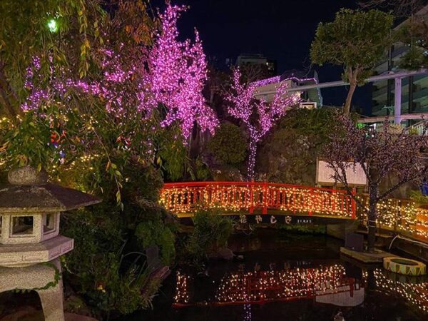 Netflix映画「浅草キッド」でも話題の浅草花やしきに行ってきました！072