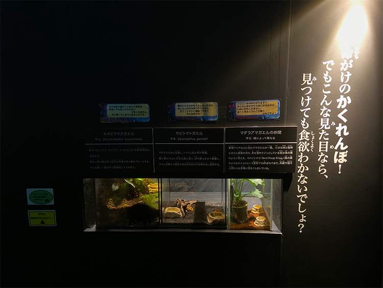 【※閲覧注意】「キモい展2022」の会場内部がヤバかったｗｗｗｗ東京ソラマチ５階スペース634で7月18日まで開催中！027