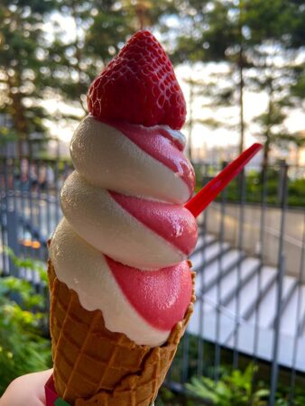 大きなイチゴがドーン！！インスタ映え間違いなしなストロベリーマニア 東京スカイツリータウン・ソラマチ店のいちごミルキーソフト021